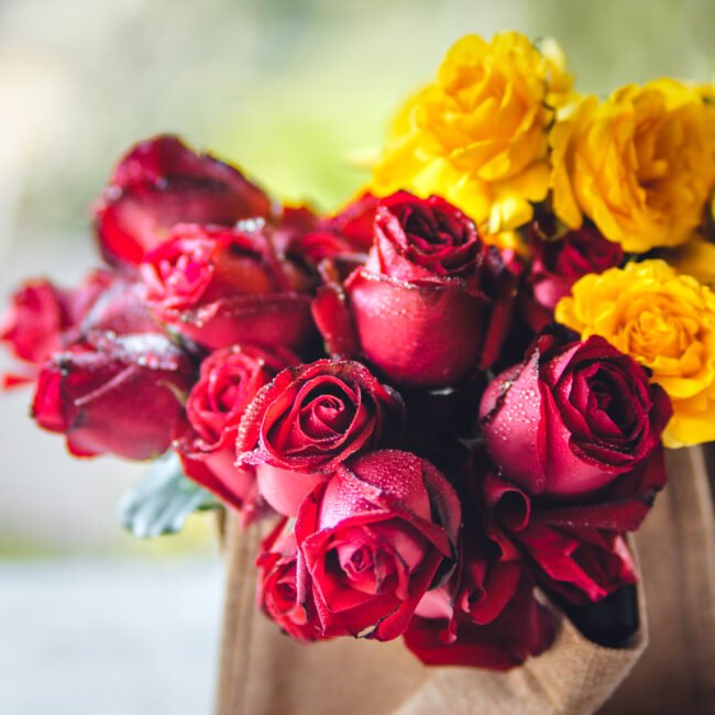 romantische en zachte bloemige noten