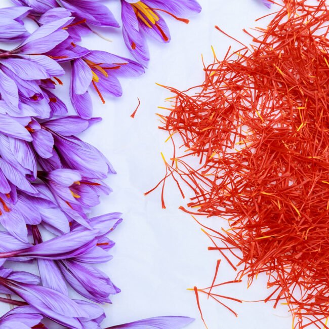 Bekend als "rood goud", saffraan voegt een warme, licht bittere en leerachtige toets toe aan de geur.