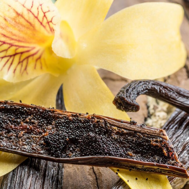 Een romige, zoete en troostende noot die het parfum afrondt.